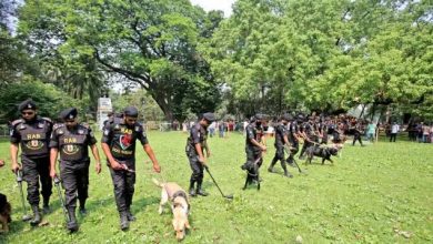 Photo of বর্ষবরণে প্রস্তুত রমনা বটমূল