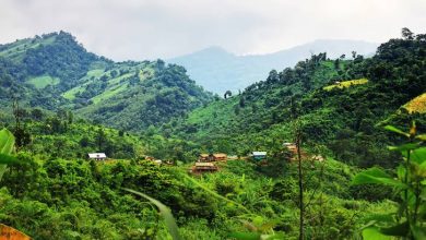 Photo of বান্দরবানের ৩ উপজেলায় ভ্রমণ ‘নিষেধাজ্ঞা’