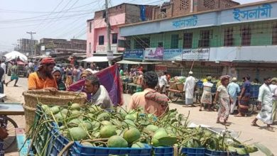 Photo of শিগগিরই জমবে কানসাটের আমবাজার