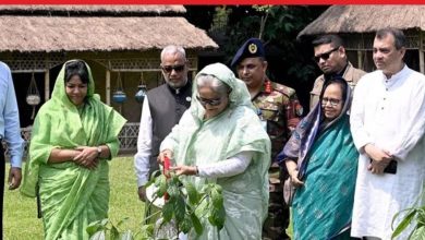 Photo of উষ্ণতা থেকে বাঁচতে গাছ লাগানোর পরামর্শ প্রধানমন্ত্রীর