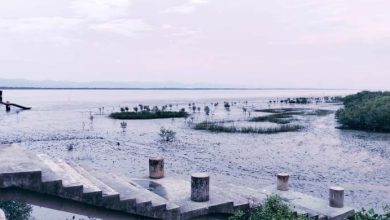 Photo of মংডু দখলের লড়াইয়ে কাঁপছে এপার